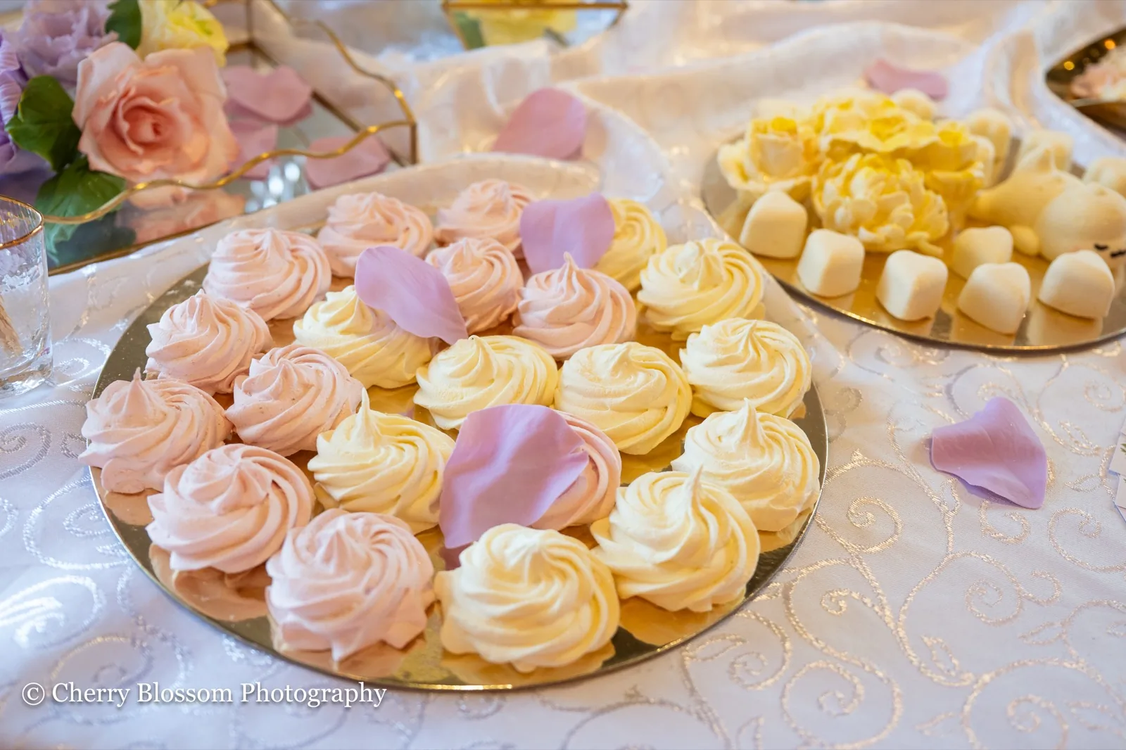 Preferred vendor showcase 9 at The Venue Clermont wedding and event expo in Clermont, Florida